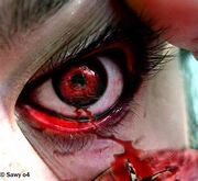Eye