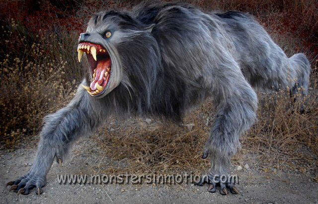 File:American-werewolf-in-london-lifesize-1.jpg
