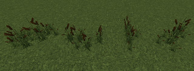 File:Cattails.png