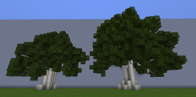 File:BeechL.png