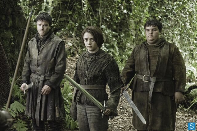 Plik:Arya-Stark-arya-stark-33976139-3607-2400.jpg