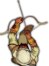 File:Scout Barbarian.png