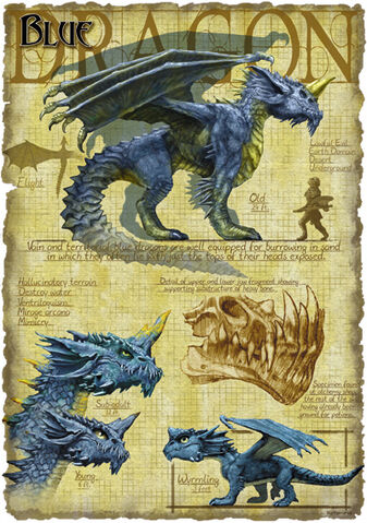 Plik:BlueDragon.jpg