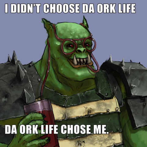 Plik:Wh5.jpg