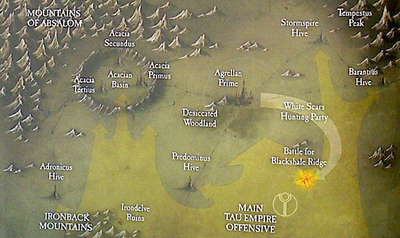 Boa1
