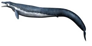 File:Hththththth.jpg