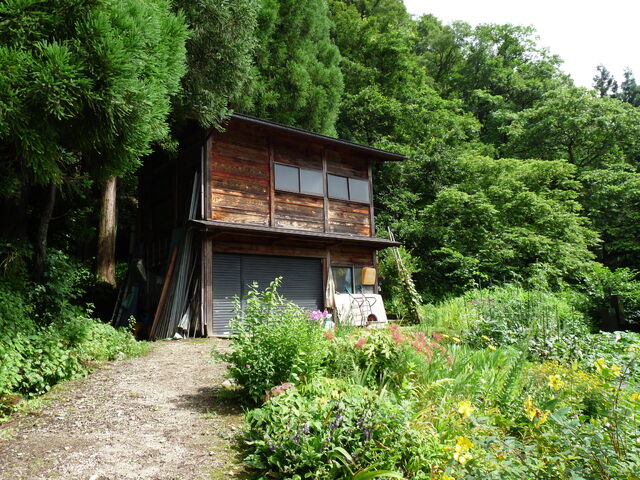 File:P1010629.jpg
