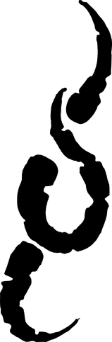 File:LogoTribeWhiteHowlers.png