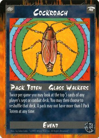 File:Cockroach.jpg