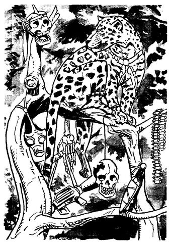 File:Amazonian Balam 2.jpg