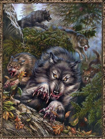 File:Werewolf pack 1.jpg