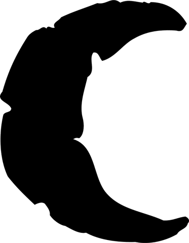 File:AuspicePhilodox.png