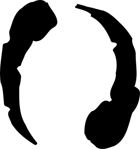 File:AuspiceRagabash.png