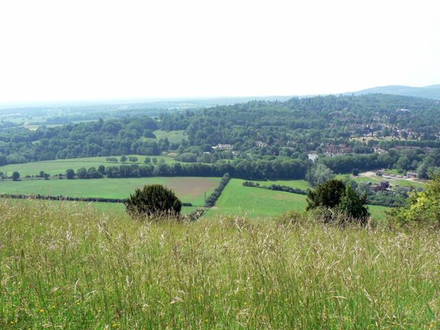 Plik:Boxhill surrey viewfromtop.jpg