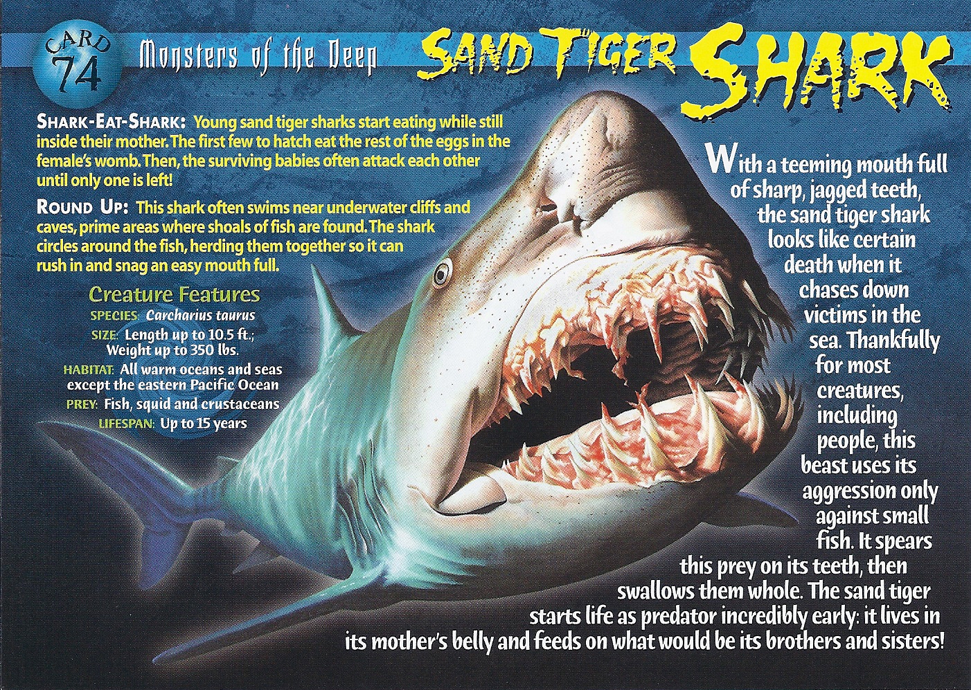 shark in the mind of one contemplating wilderness Williams a shark in the mind - free download as pdf file (pdf), text file (txt) or read online for free a shark in the mind of one contemplating wilderness. shark in the mind of one contemplating wilderness Williams a shark in the mind - free download as pdf file (pdf), text file (txt) or read online for free a shark in the mind of one contemplating wilderness.