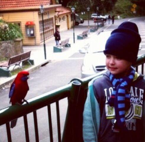 File:Antonioandbird.jpg