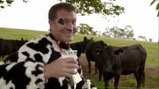 TalkingCow
