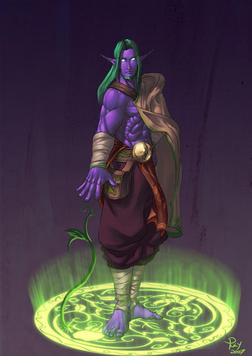 Druida Elfo.jpg