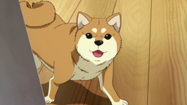 Inu