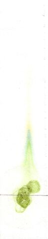 File:Chromatography.jpg