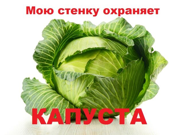 Файл:Капуста.jpg