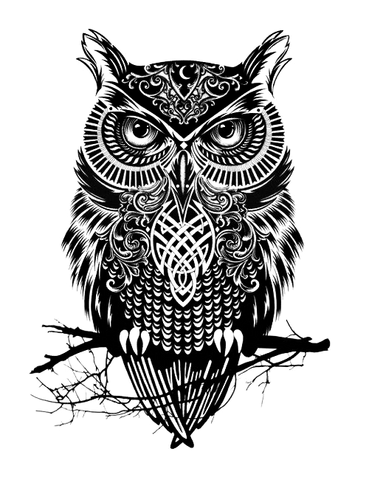 ملف:Nat.png
