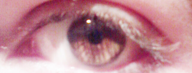 Archivo:Foto-0001c.jpg