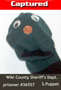 Sockpuppet-mugshot.jpg
