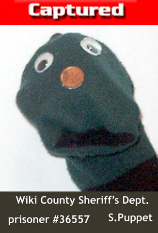 Файл:Sockpuppet-mugshot.jpg