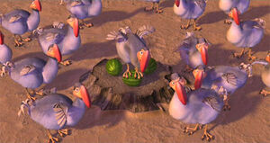 Dodos1