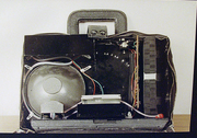A purse camera