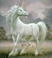 Unicornio.jpg