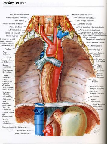 File:Egds0011.jpg