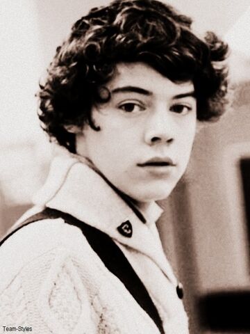 Archivo:Harry-styles-111.jpg