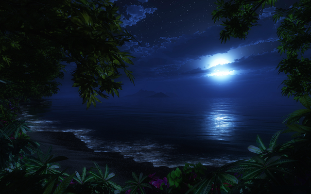 File:Sea-Beach-At-Night.png