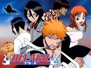 Bleach.jpg