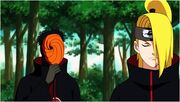 Tobi y10.jpg