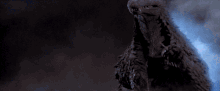 15Goji destroys an mazer