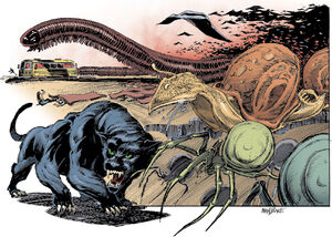 The swarm