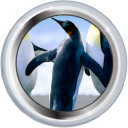 File:Badge-picture-3.png