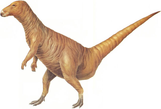 Archivo:Coneater.jpg