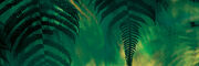 Main 100 million years.jpg