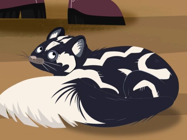 File:P.U. Curls Up.jpg