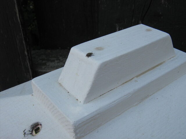 File:IMG 0426.jpg