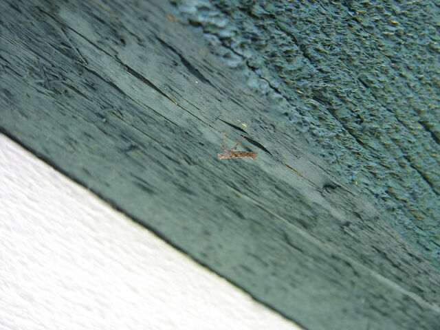 File:IMG 0442.jpg