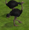 File:Dinoris.png