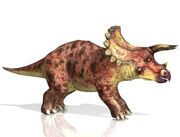 Triceratops