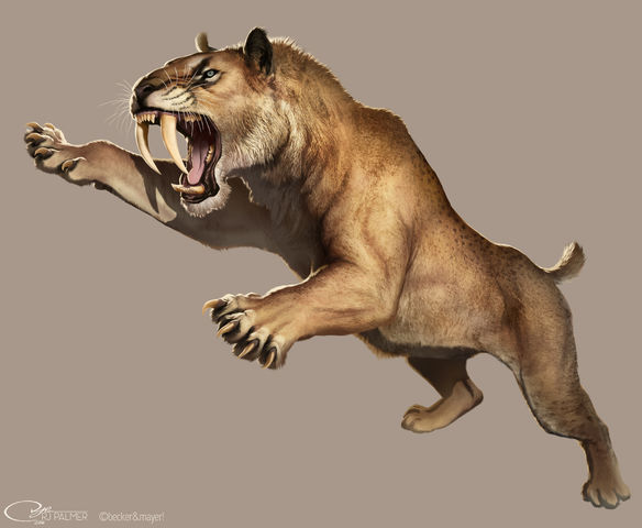 File:Smilodon2.jpg