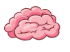 Brain