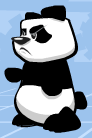 Panda pic